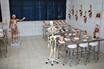Laboratório de Anatomia